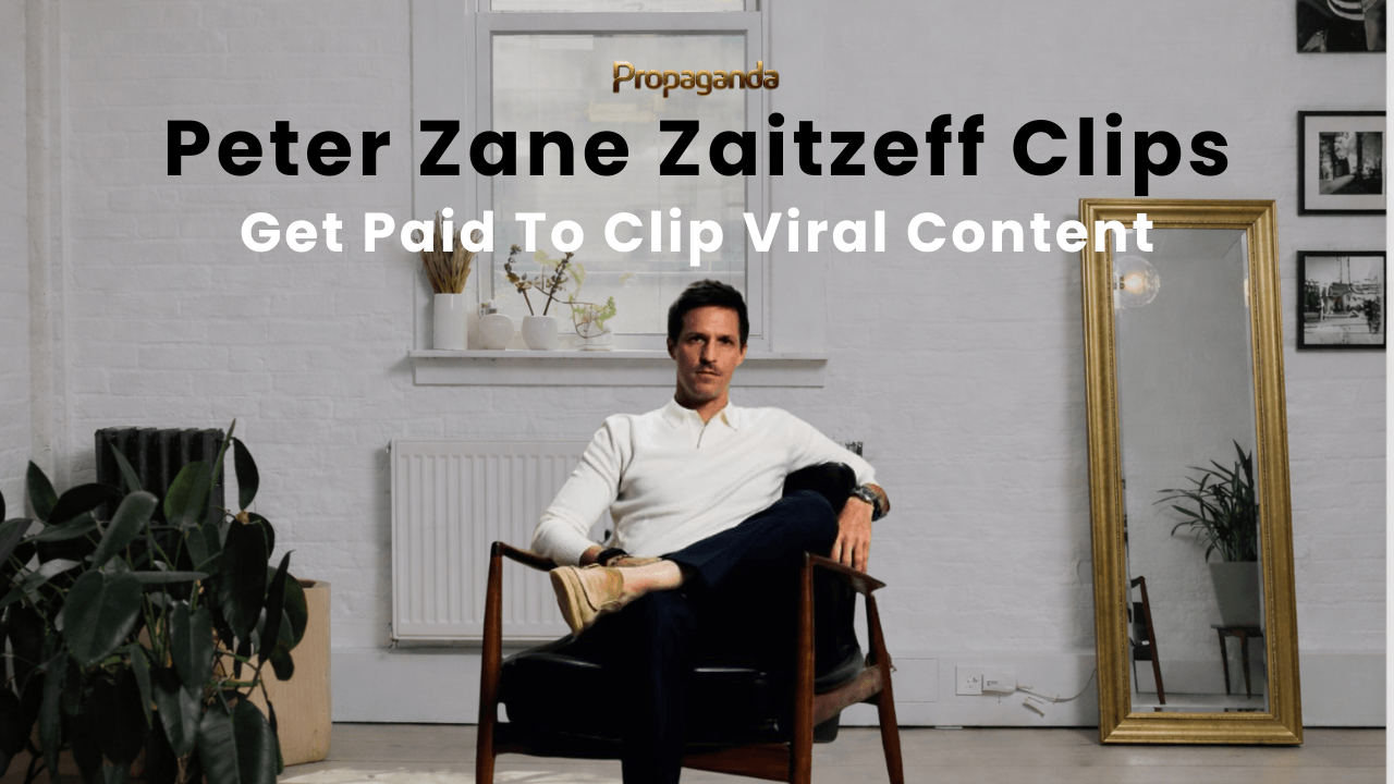 Peter Zane Zaitzeff: $2.5 per 1,000 views